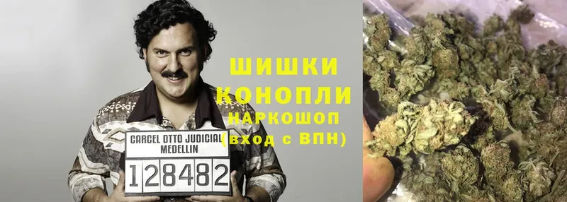 где найти наркотики  Бологое  Канабис Bruce Banner 